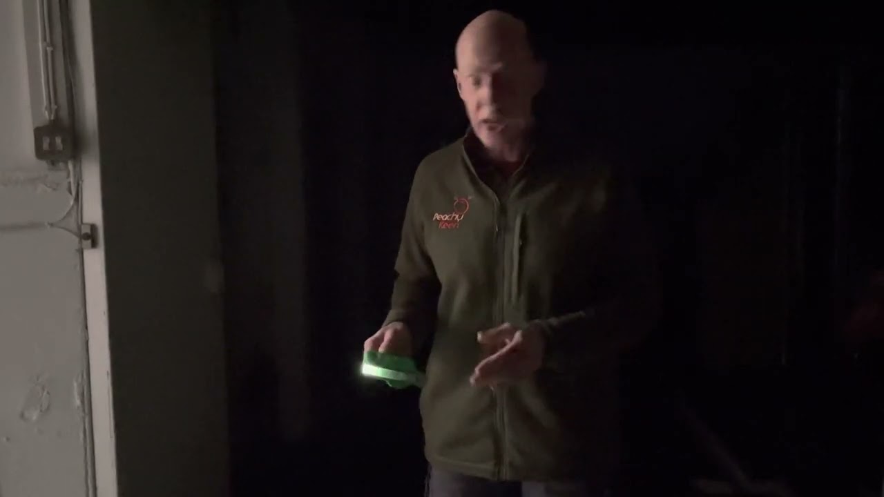 PeachyKeen Power Pedal Submission