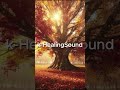 6 Hours Emotional Healing Piano | Relax & Deep Sleep | The Autumn We Never Forgot
