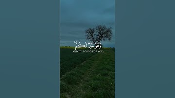 وعسى ان تكرهوا شيئا وهو خير لكم | تلاوة خاشعة بصوت القارئ مشاري العفاسي🤍
