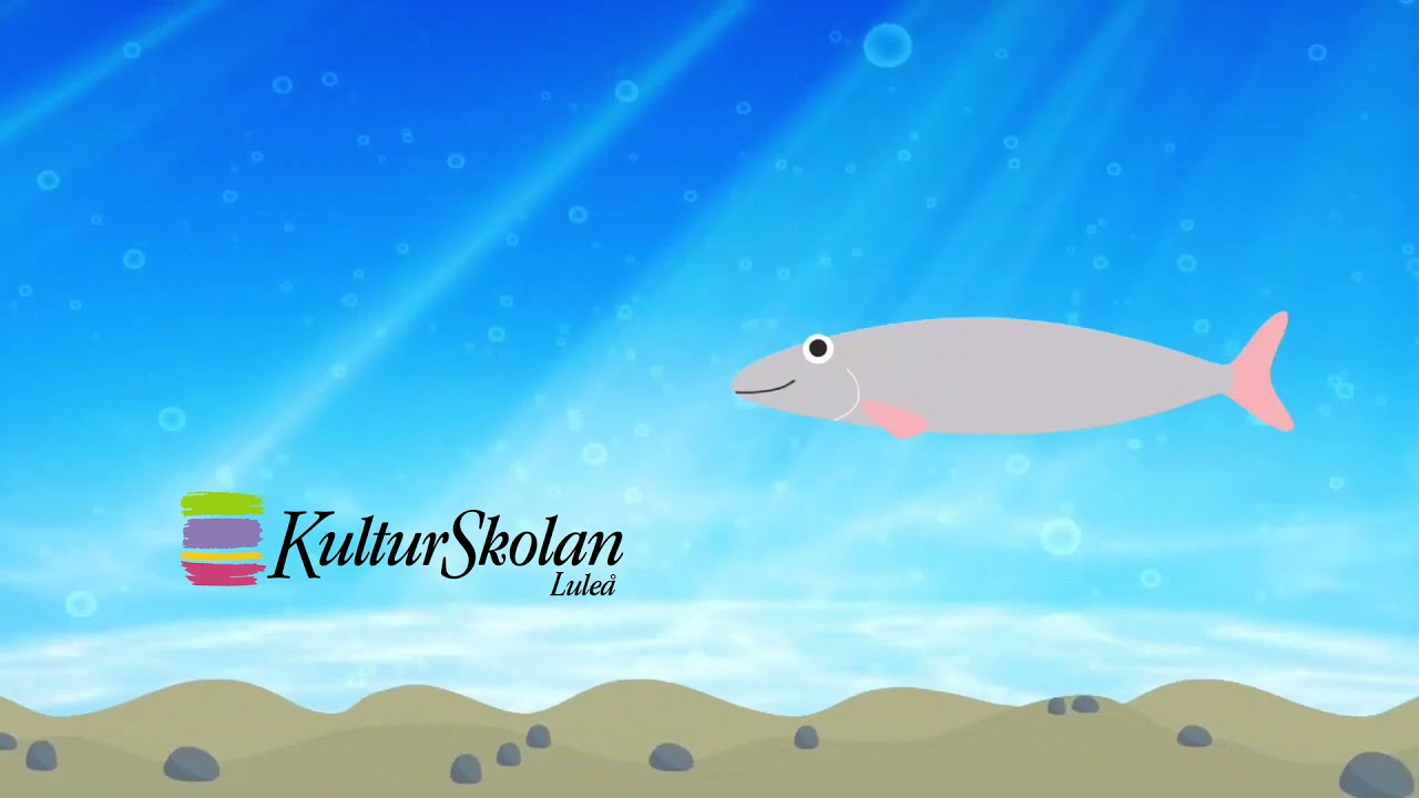 Drama-musikprojekt Luleå 400-år