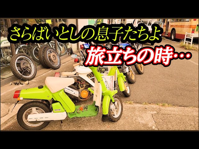 断捨離します 嗚呼さらば息子達 旅立ちの時 Youtube 断捨離します 嗚呼さらば息子達 旅立ちの時 Youtube