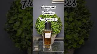 Gorgeous Vanillas Fragrances