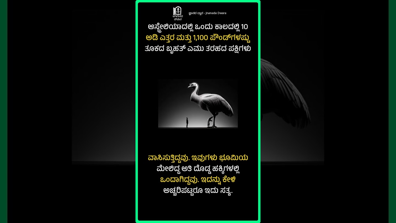 ಆಸ್ಟ್ರೇಲಿಯಾದ ದೈತ್ಯ ಪಕ್ಷಿ! | Australia's Giant Bird