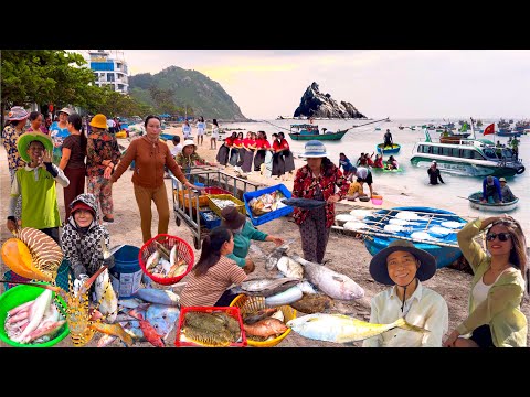 Hòn Đảo Cách Quy Nhơn Chỉ 30 Phút | Toàn Hải Sản Tươi Ngon Giá Rẻ