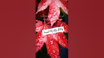 #واذكر_ربك_اذا_نسيت #سورة_الكهف