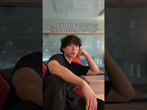 강아지 하나 더 키우자고 할때 반응