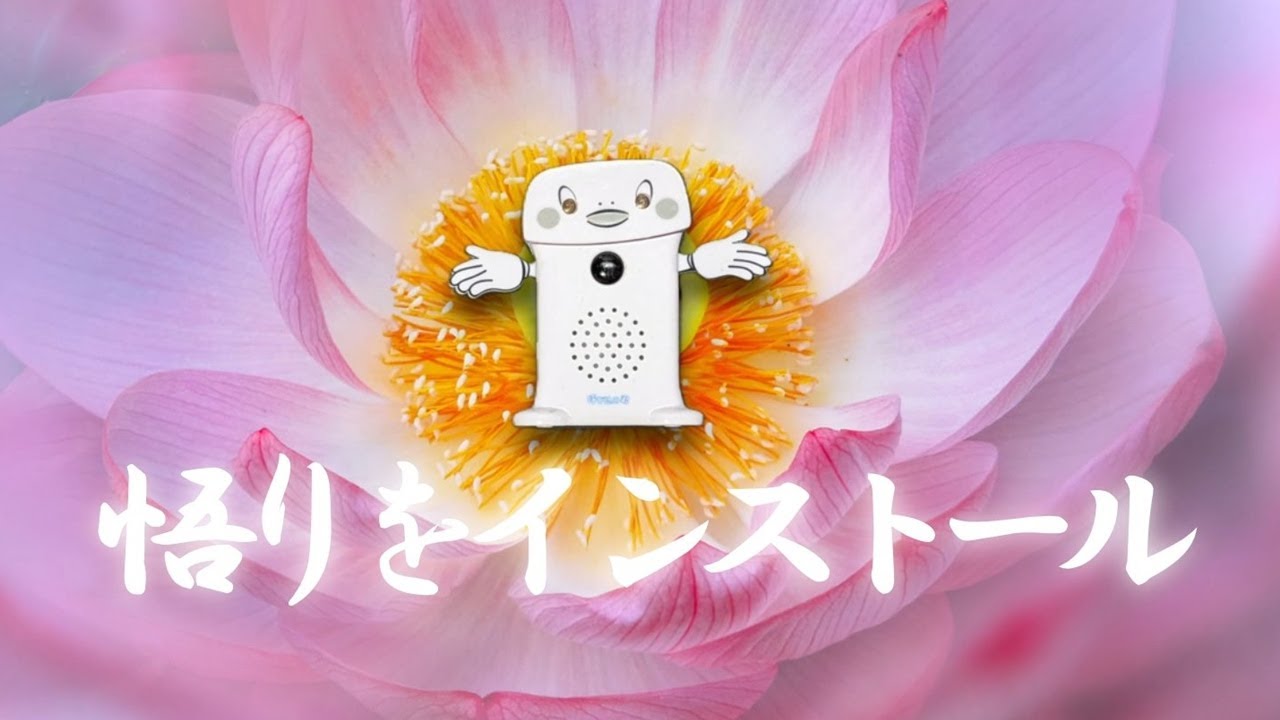 「呼び込み君ミニ」をブッダマシーンにしてみた