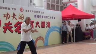 香港功夫表演2017071613