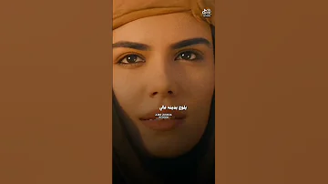 محد يخلي الطير يلوح بدينه عالي 