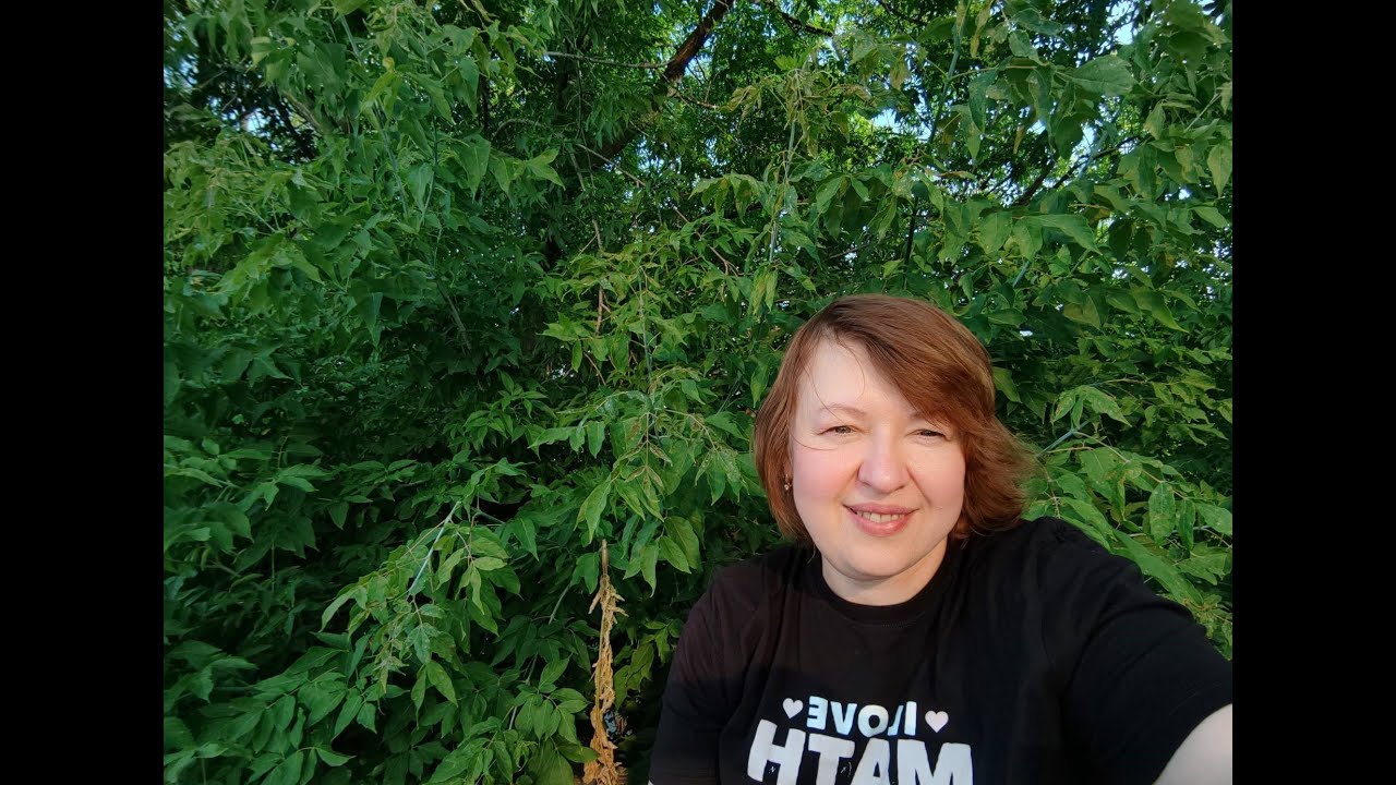 Покатушки с Владом и Боликом