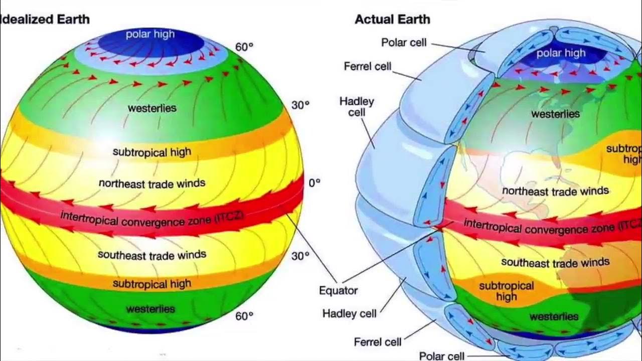 Схема циркуляции воздушных масс. Общая схема атмосферной циркуляции на земле. Схема глобальной циркуляции атмосферы. Ветры общей циркуляции атмосферы.
