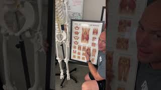 What Causes Hip Misalignment?