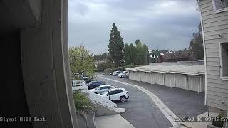 timelapse webcam 9kBVDM 20200316