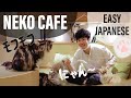 「日本最大級の猫カフェ」で日本語学ぼう！Cat Cafe Shinjuku Tokyo, Learn Easy Japanese with English Subtitles