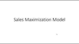 Sales Maximization Model