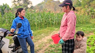 Download Lagu Hoi's biological mother came to Thu's house to share the good news and thank Thu for her help. MP3