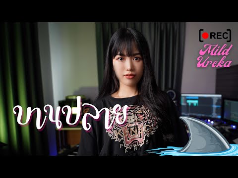 BOWKYLION - บานปลาย (best wishes)| [Cover] By Mild Ureka (เนื้อร้อง)