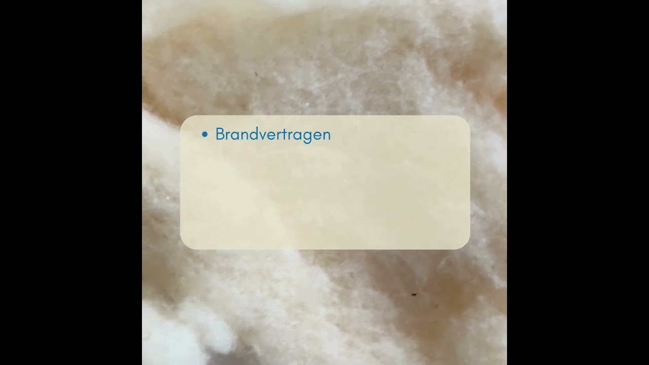 D&eacute; All-Season Droomdeken? | 100% Zuiver Scheerwol van De Schaperie!