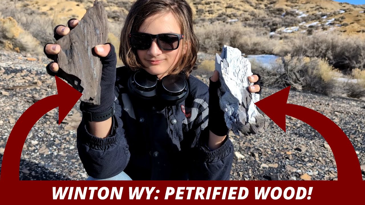 Winton WY: Ghost Town and Petrified Wood - Dec 21, 2024