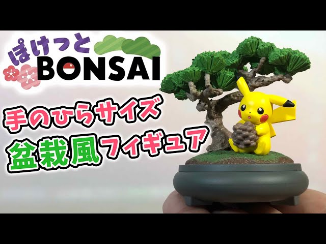 ポケモン盆栽!? ぽけっとBOBSAI 全6種コンプリート!! pokemon