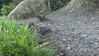 Fresno landscaper accused of illegally charging thousands of dollars for topsoil job