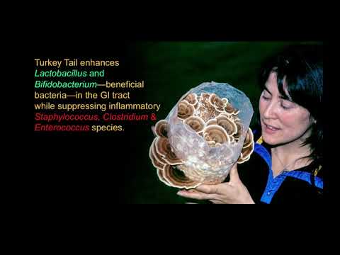 Mushrooms as Medicine