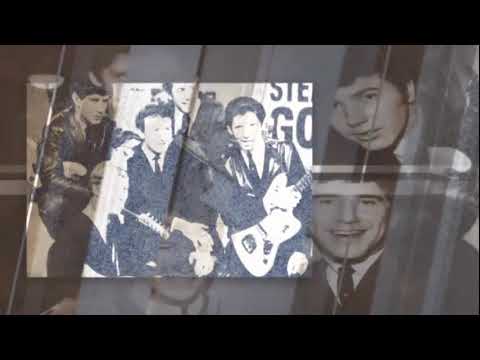 Brian Poole & The Tremeloes - My Baby Left Me (live)