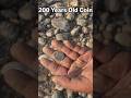 Metal Detector Found 200 Years Old Coin #MetalDetector #200YearsOldCoin #TreasureHunt #OldCoin
