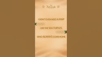 Thumbnail of Sea Turtles Always Come Home