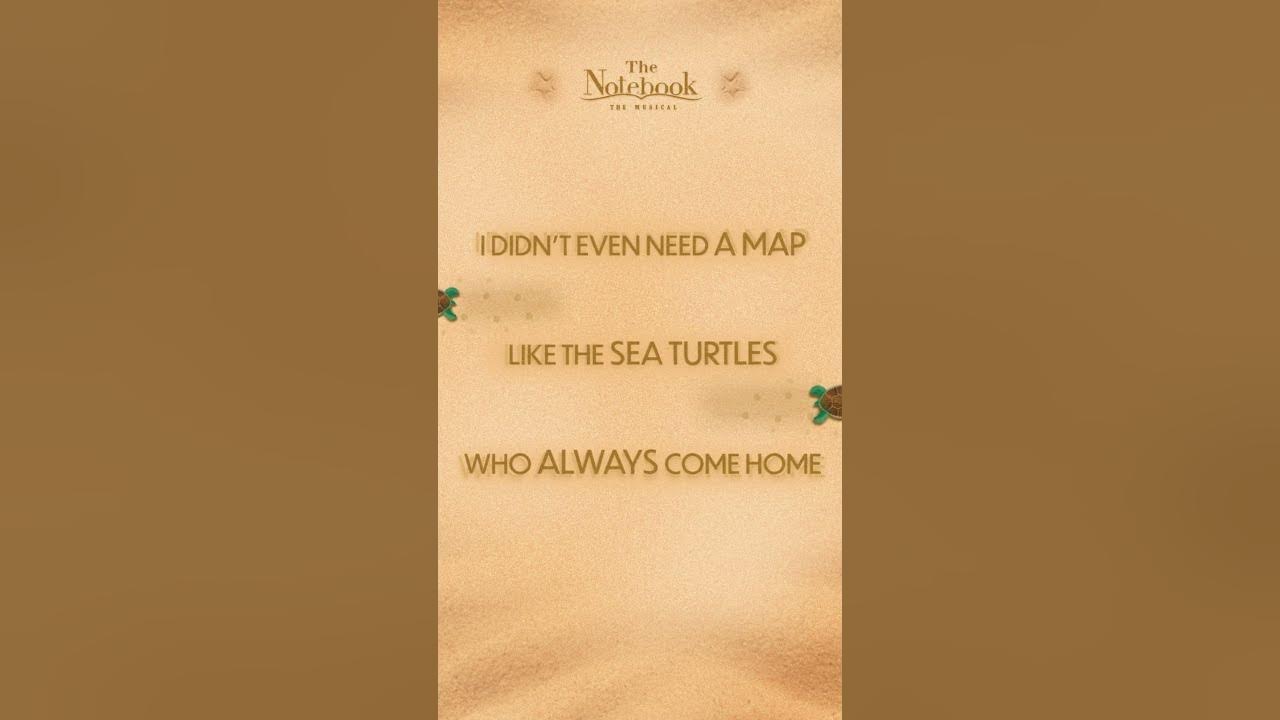 Sea Turtles Always Come Home