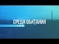 Среда обитания 25.11. Время привыкать к блэкаутам?