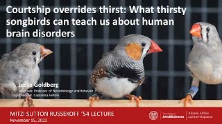 “Courtship overrides thirst: What thirsty songbirds can teach us about human brain disorders