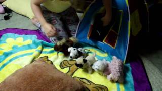 Webkinz Go Camping- Part 2