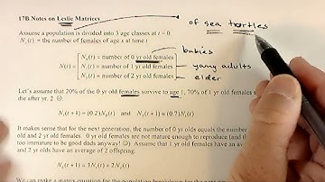Modeling With Matrices