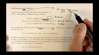 Modeling With Matrices