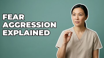 Why Is My Cat Aggressive When Scared?