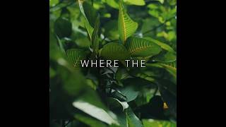 Kreeva Where Nature Meets Sophistication Beyond Imagination Reimagining Possibilities