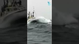 সমুদ্রের কাছে মানুষ কত ক্ষুদ্র! 🌍🌊 #shorts #OceanPower #Nature #SeaMystery #Mayabritto  #Viral