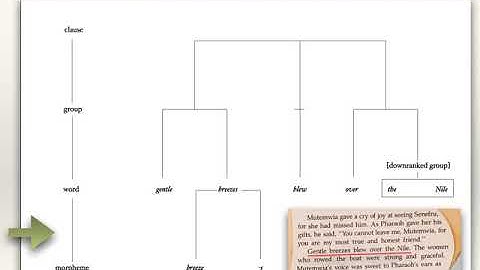 ENGL2006 2020 Week 2 4 function rank matrix