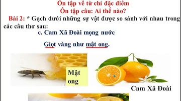 LỚP 3 TUẦN 14 LTVC ÔN TẬP VỀ TỪ CHỈ ĐẶC ĐIỂM - ÔN TẬP CÂU: AI THẾ NÀO?