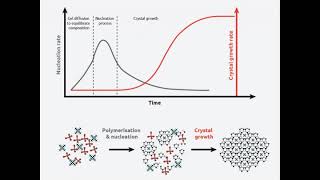 Recrystallization of Benzoic Acid