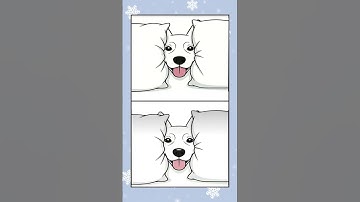 Can you find the three differences in these two pictures in 5 seconds? I never thought it would #48