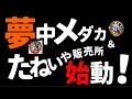 夢中メダカとたねいやメダカ販売所が始動！　ありえない1000円セット発見！　風月リアルなども紹介！　@楽めだか【rakumedaka】aquarium ch