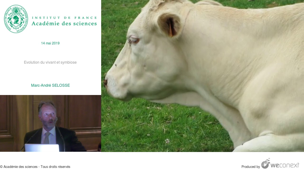 [Conférence] MA. SELOSSE - Evolution du vivant et symbiose
