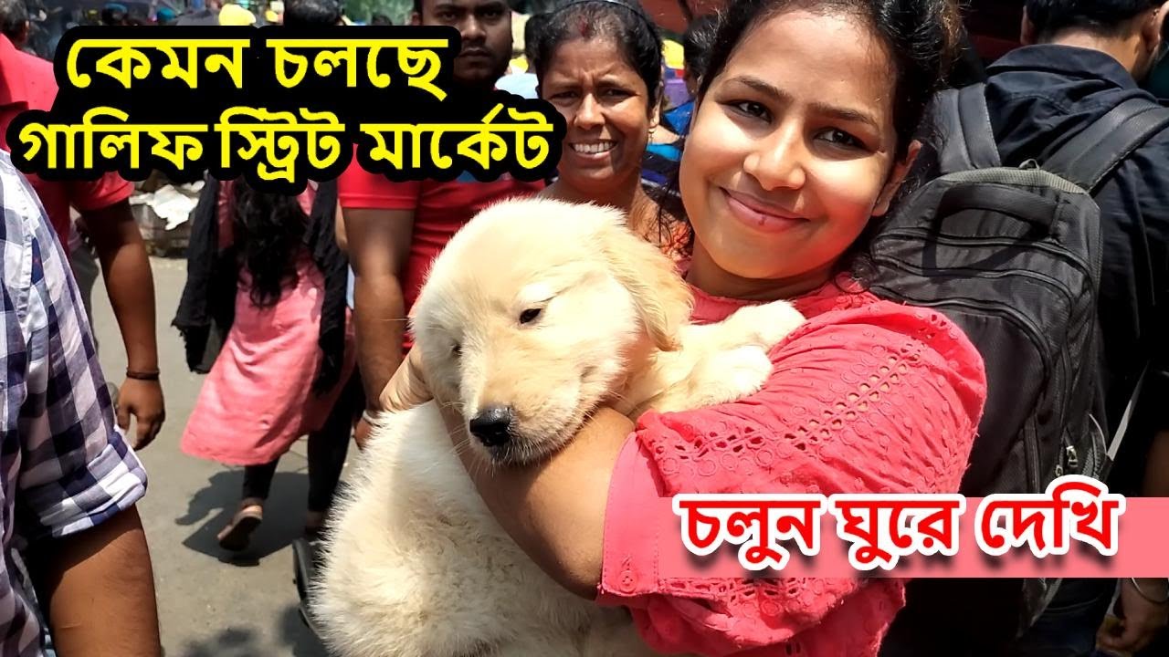 Galiff Street Pet Market Kolkata dog market in kolkata Dog Price