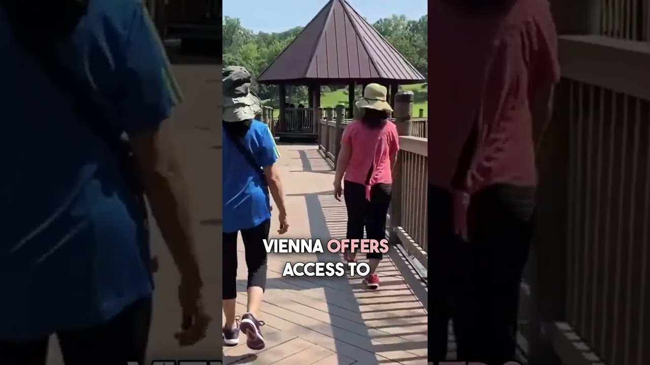 Vienna VA has the vibe everyone wants #ViennaVA #CozySpaces #shorts