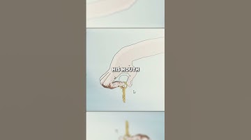 Would you play this disturbing flash Game?