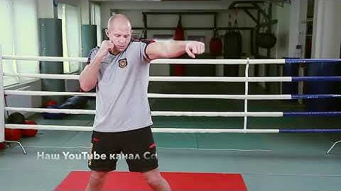 Most important punch by Fedor Emelianenko