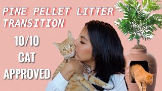 DIY W/ Me: Hidden Cat Litter Box W/ Pine Pellets | Transition And Review