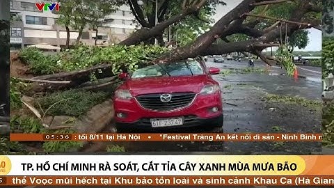 #758 TP.HCM rà soát,cắt tỉa cây xanh mùa mưa bão tránh gây tai nạn cho người dân.
